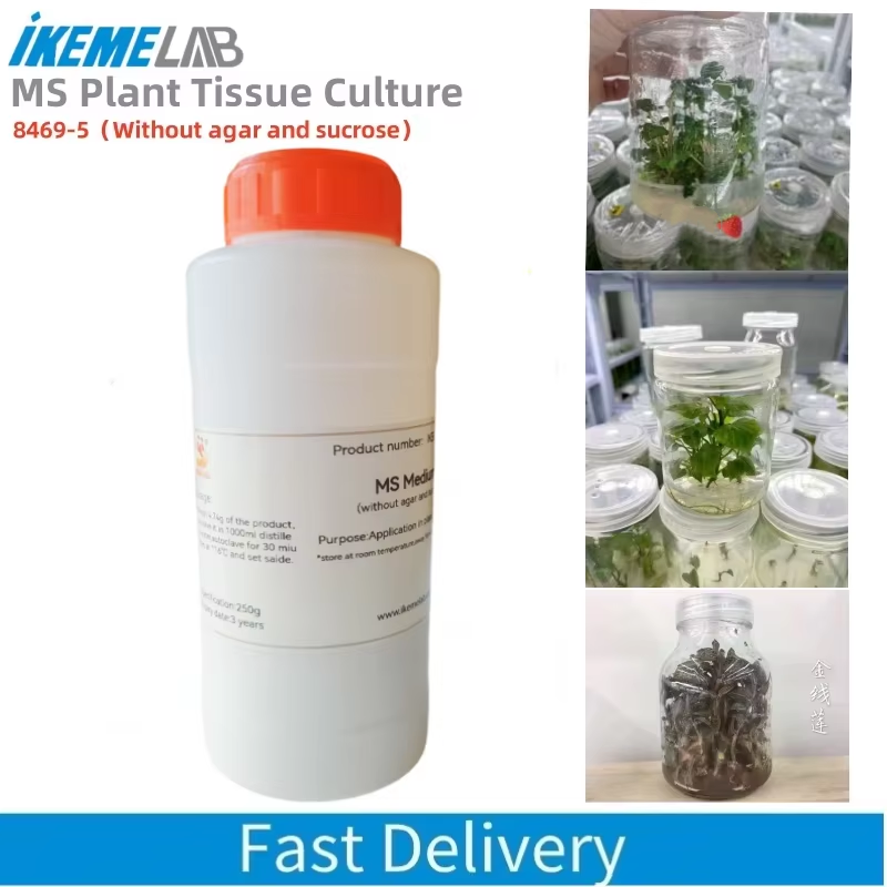 Agar Tissue Culture - 250G Phòng MS Trung Bình Mà