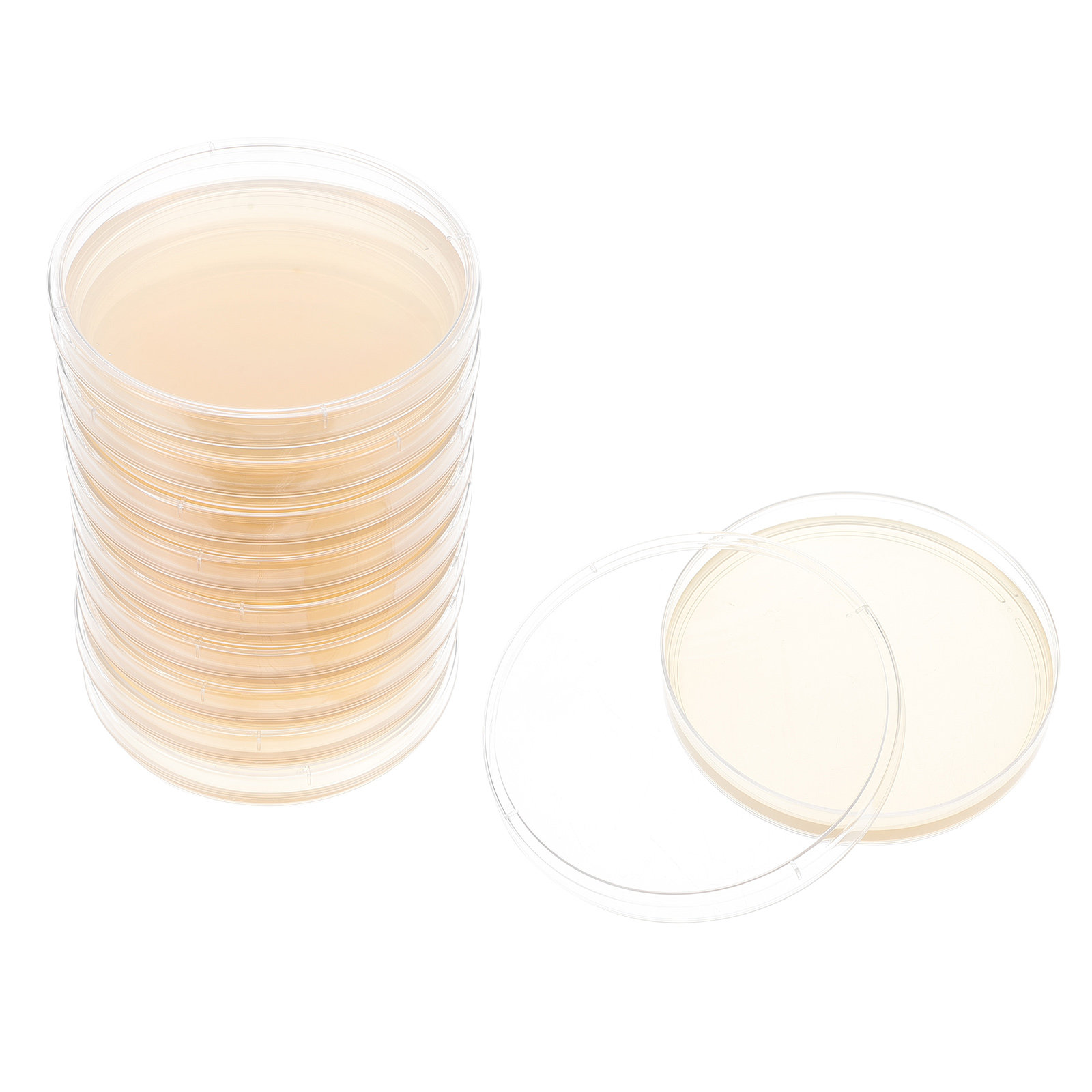 Agar Tissue Culture - 10pcs Nutrient Agar Plates Pre-Poured Petri