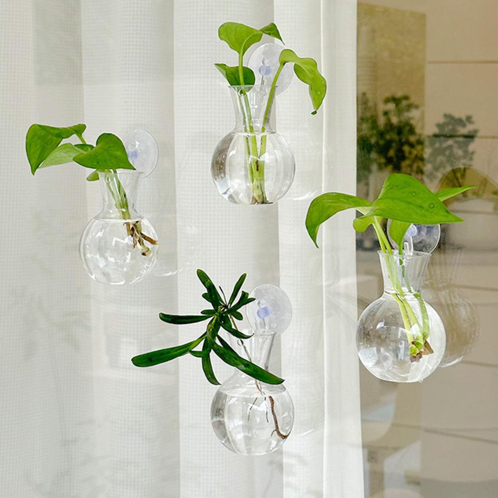 Propagation Station Vase - 1/2/3/4/6/8Pcs Plant Propagation Bulb with Suction