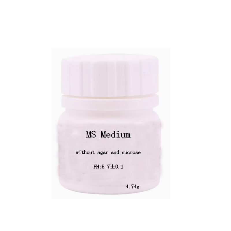 MS Medium Without Agar Or Sucr - đánh giá và giá Agar Tissue Culture