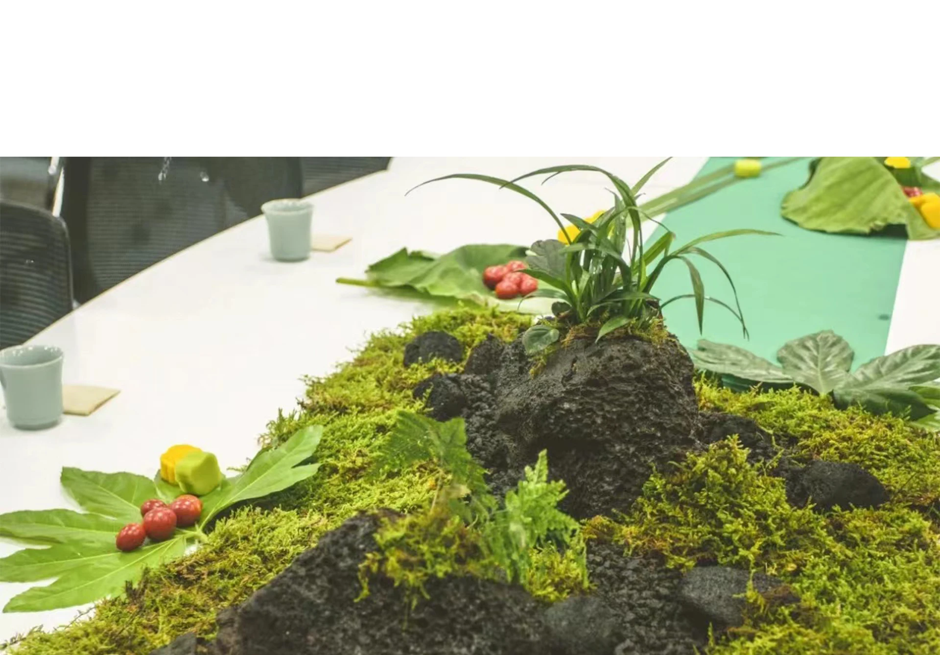 Giả Rêu Nhân Tạo Rêu Cho Chậu  - đánh giá và giá Sphagnum Moss Dry