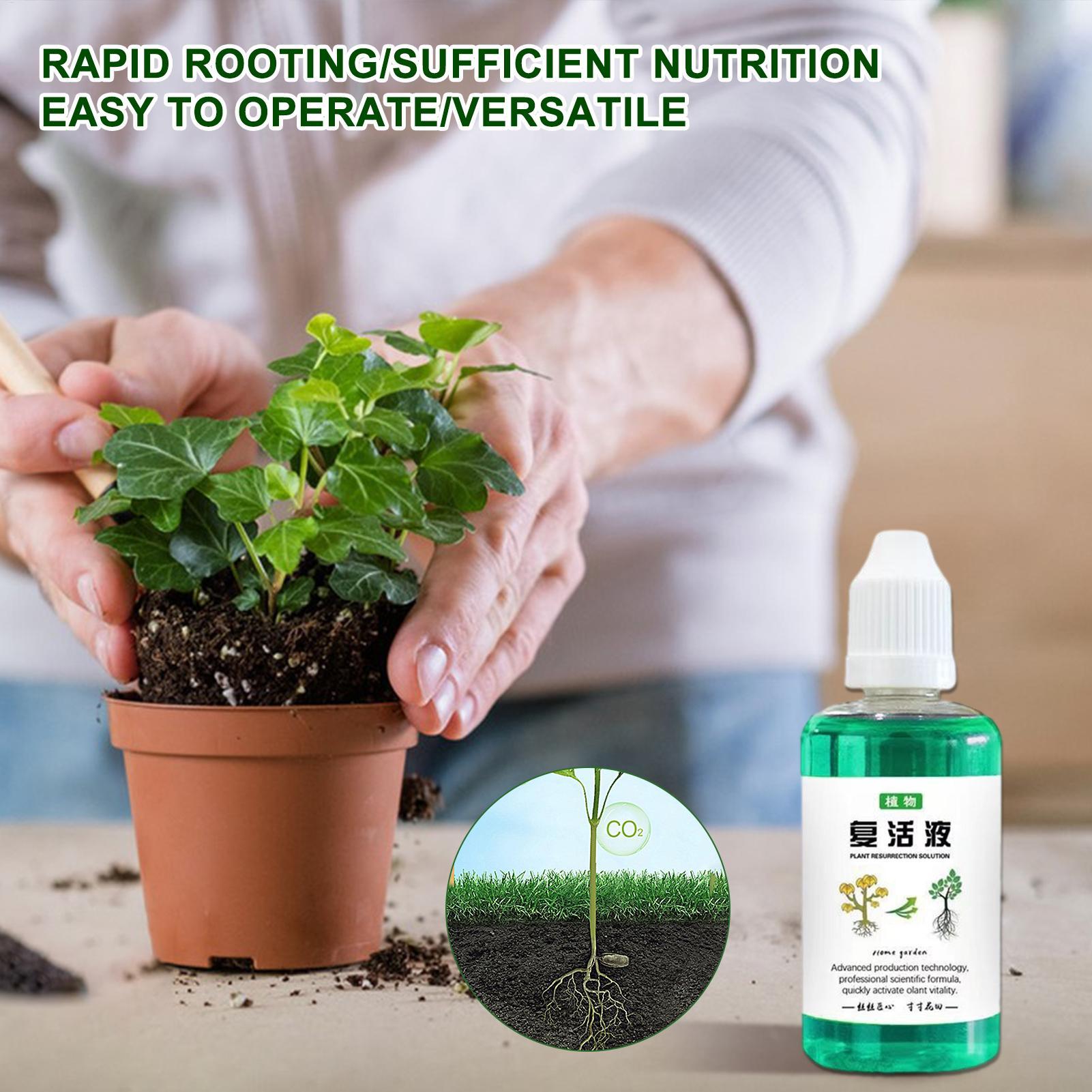 50ml Root Stimulator Plant Res - đánh giá và giá Root Stimulator Liquid