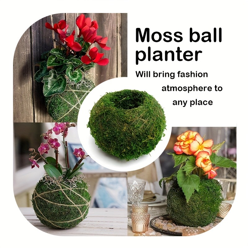 Artificial Moss Ball Planter,  - đánh giá và giá Sphagnum Moss Dry