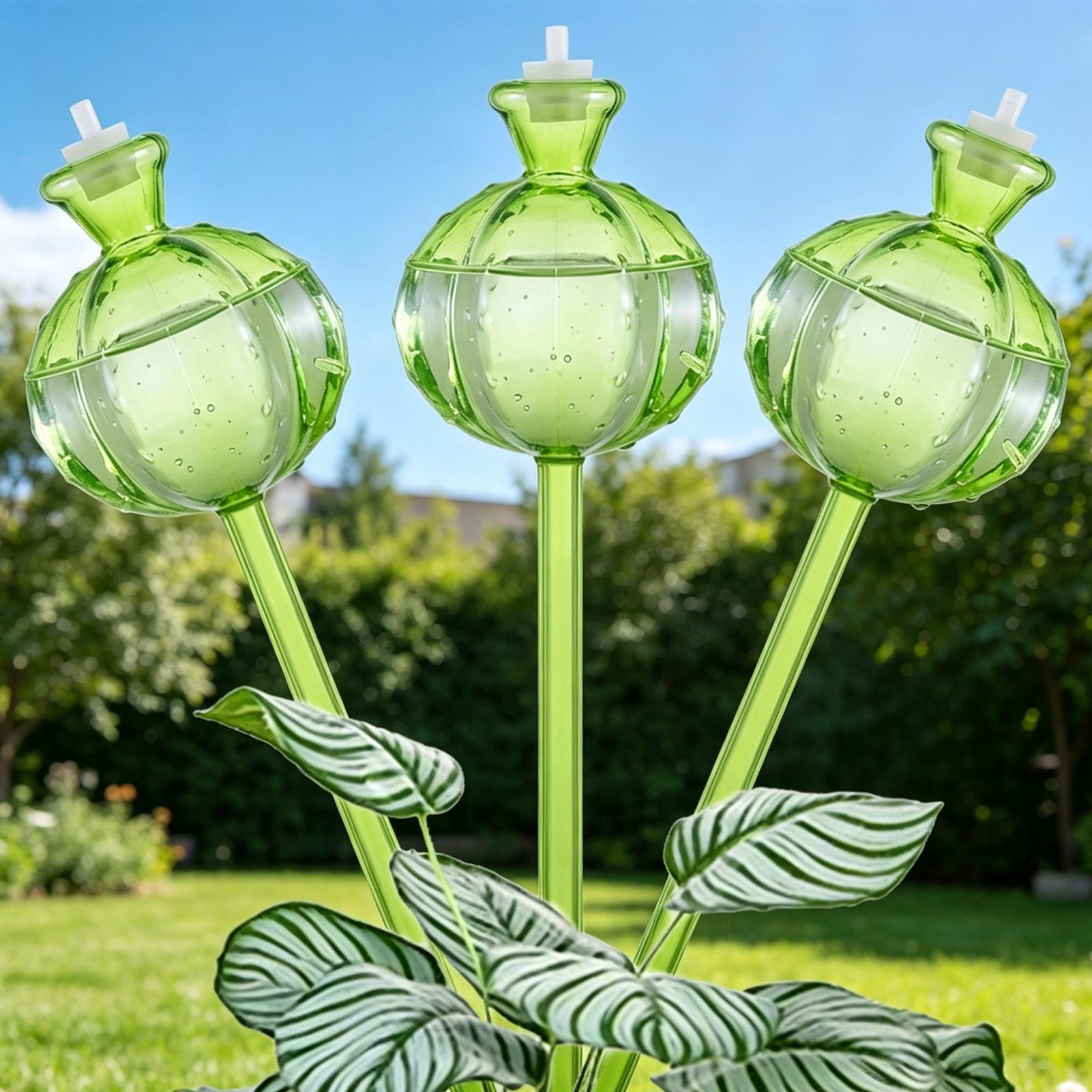 Self-Watering Globes 3 Pieces  - đánh giá và giá Self Watering Insert