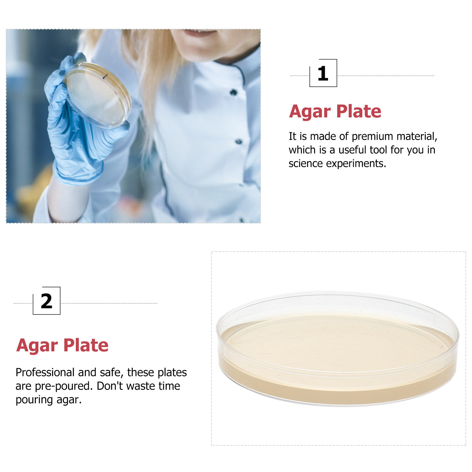 10pcs Nutrient Agar Plates Pre - đánh giá và giá Agar Tissue Culture