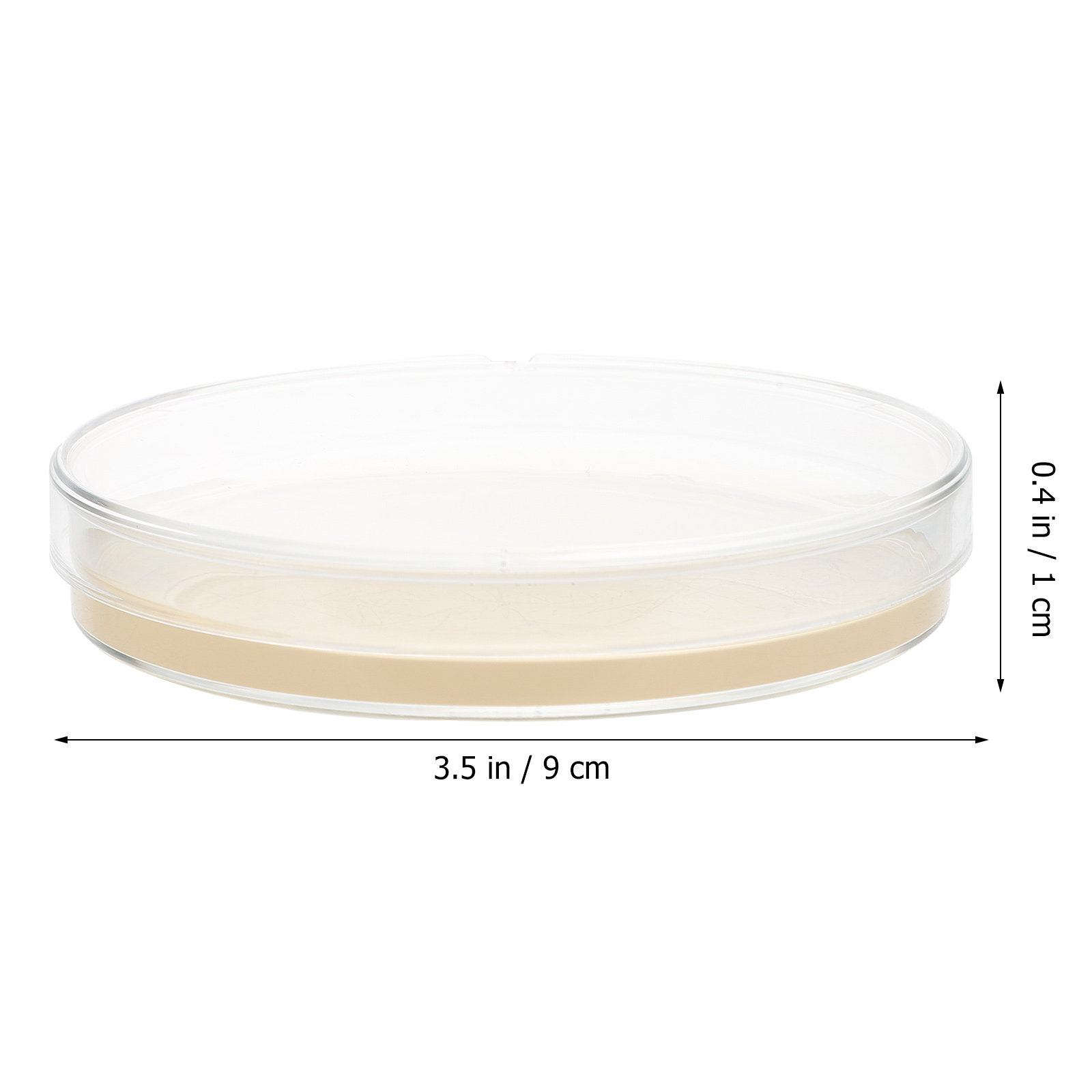 10pcs Nutrient Agar Plates Pre - đánh giá và giá Agar Tissue Culture