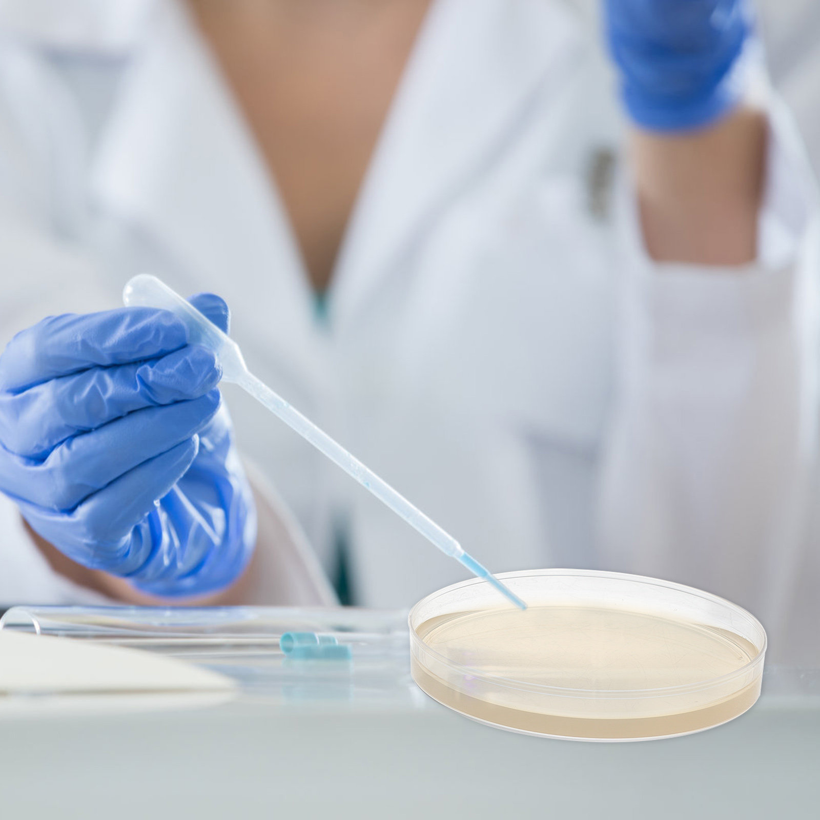 10pcs Nutrient Agar Plates Pre - đánh giá và giá Agar Tissue Culture