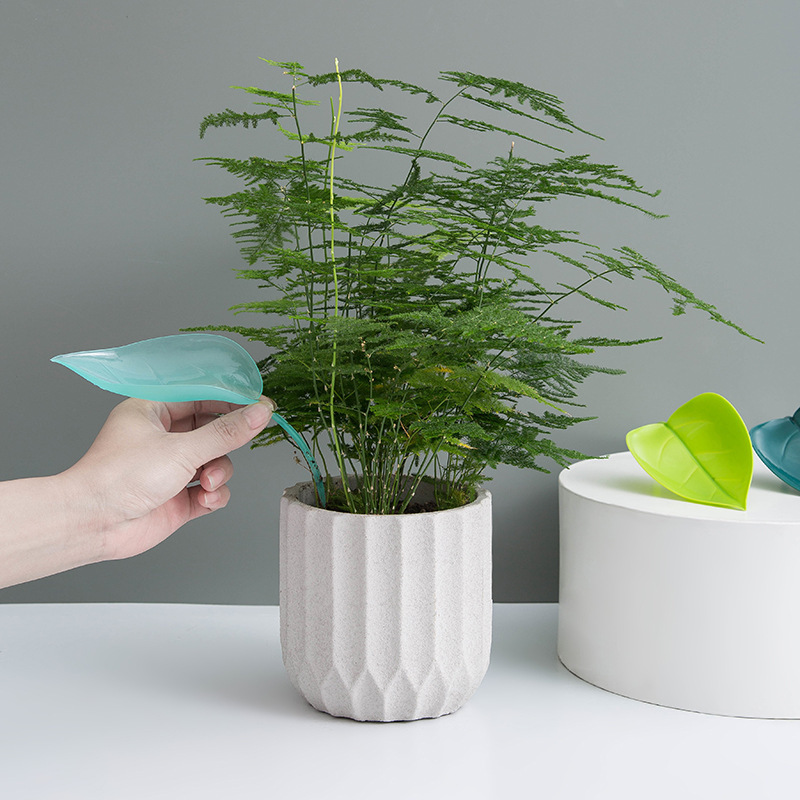 Creative Potted Foliage Divers - đánh giá và giá Self Watering Insert
