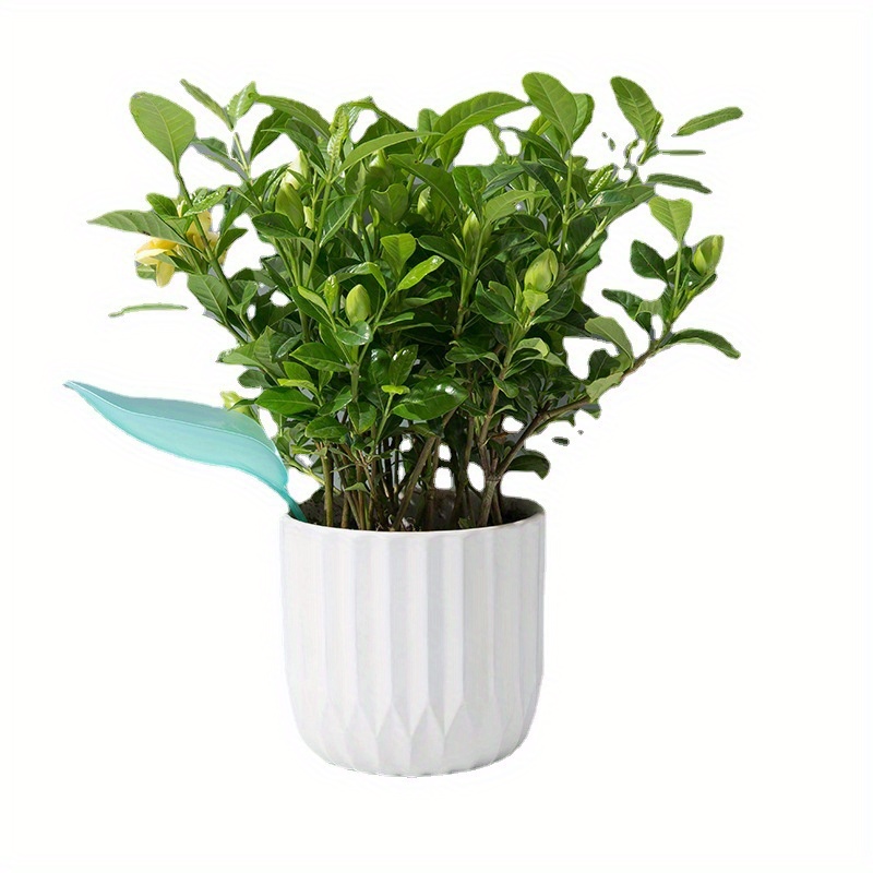 Creative Potted Foliage Divers - đánh giá và giá Self Watering Insert