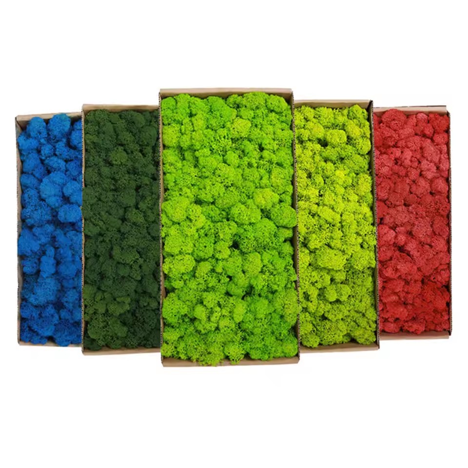 20-200g Artificial Green Plant - đánh giá và giá Sphagnum Moss Dry