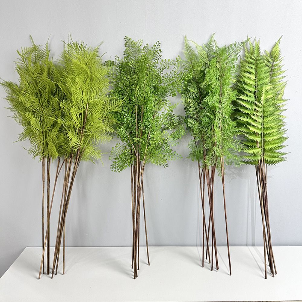 Realistic Artificial Fern Plan - đánh giá và giá Sphagnum Moss Dry