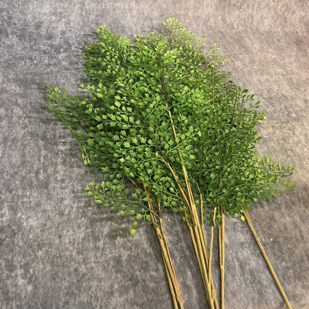 Realistic Artificial Fern Plan - đánh giá và giá Sphagnum Moss Dry