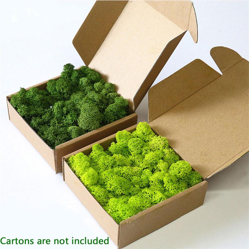Nhân Tạo Vật Có Cuộc Sống Vĩnh - đánh giá và giá Sphagnum Moss Dry