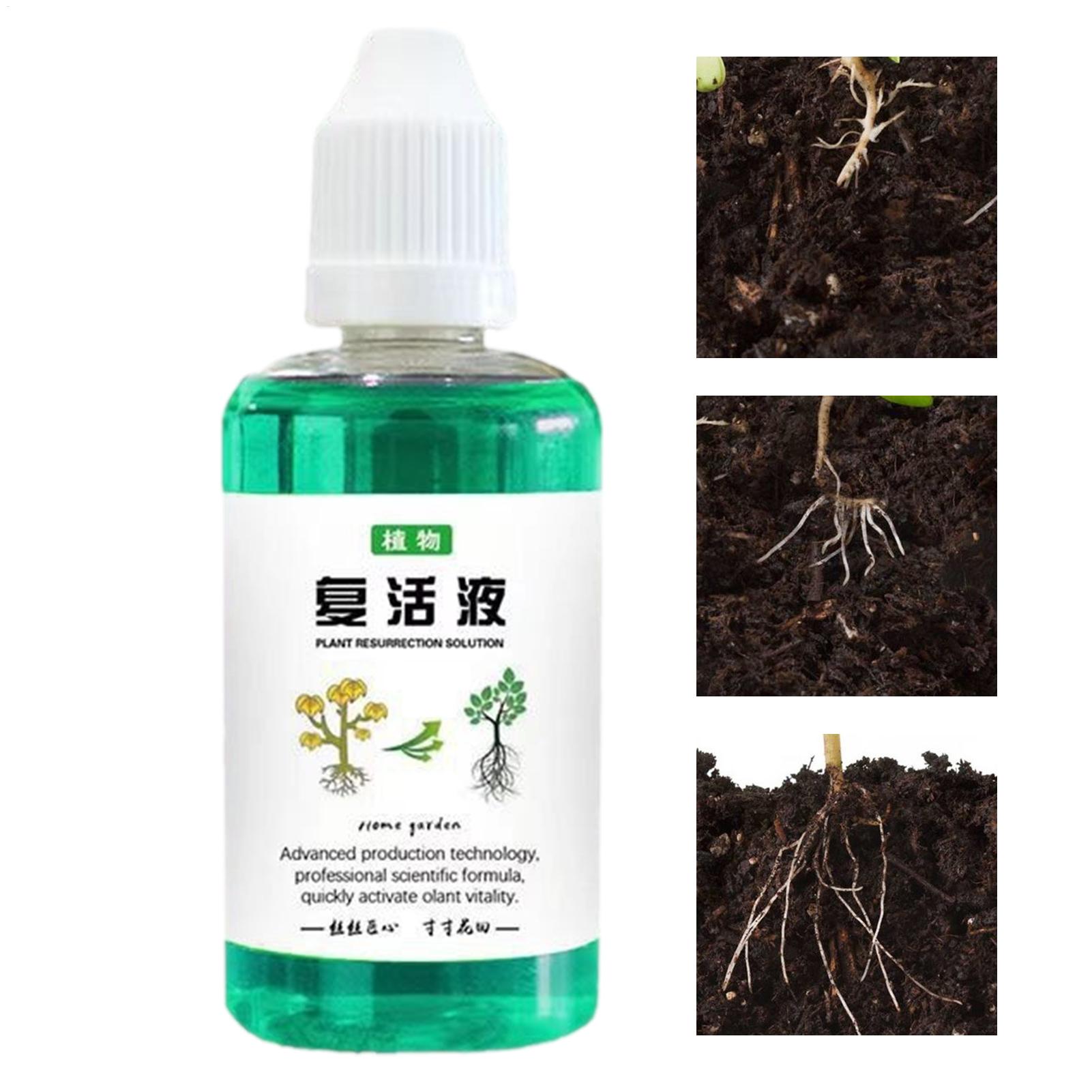 Root Stimulator For Plants 50m - đánh giá và giá Root Stimulator Liquid