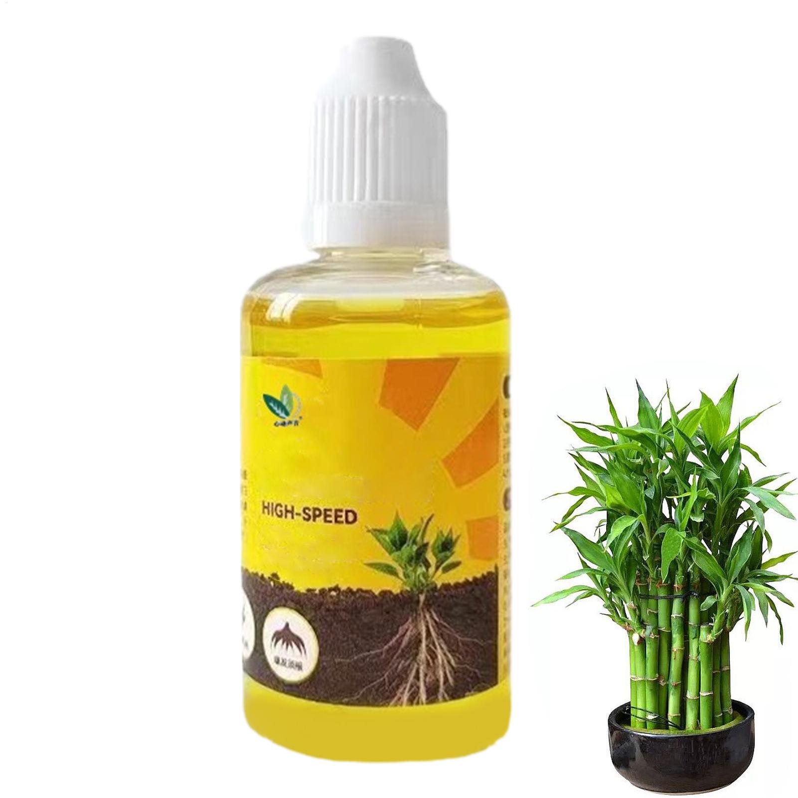 50ml Plant Rooting Stimulator  - đánh giá và giá Rooting Hormone Powder