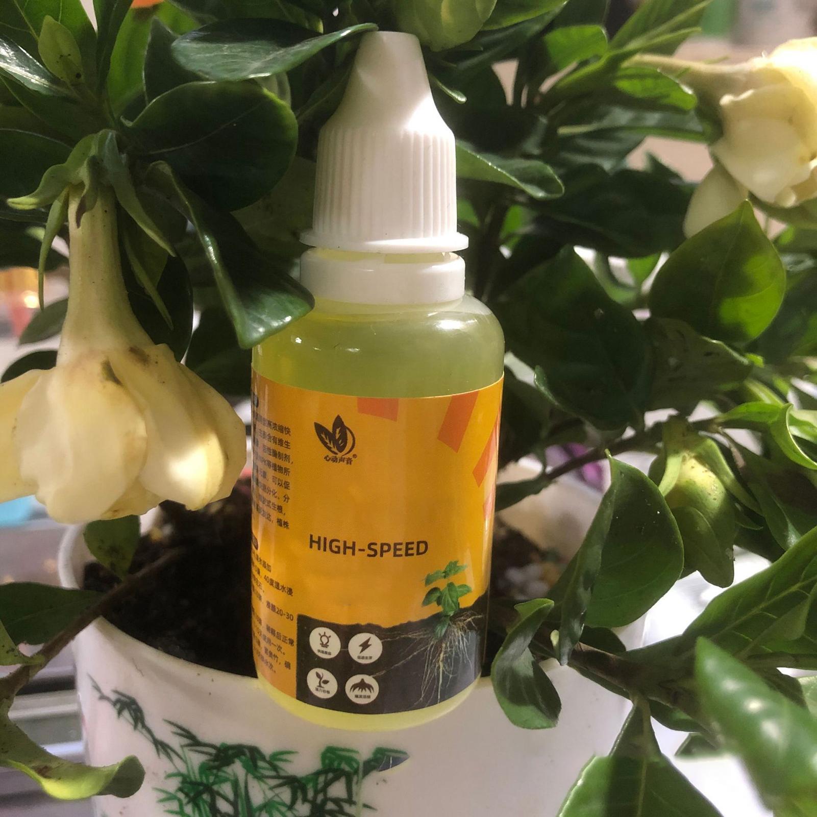 50ml Plant Rooting Stimulator  - đánh giá và giá Rooting Hormone Powder