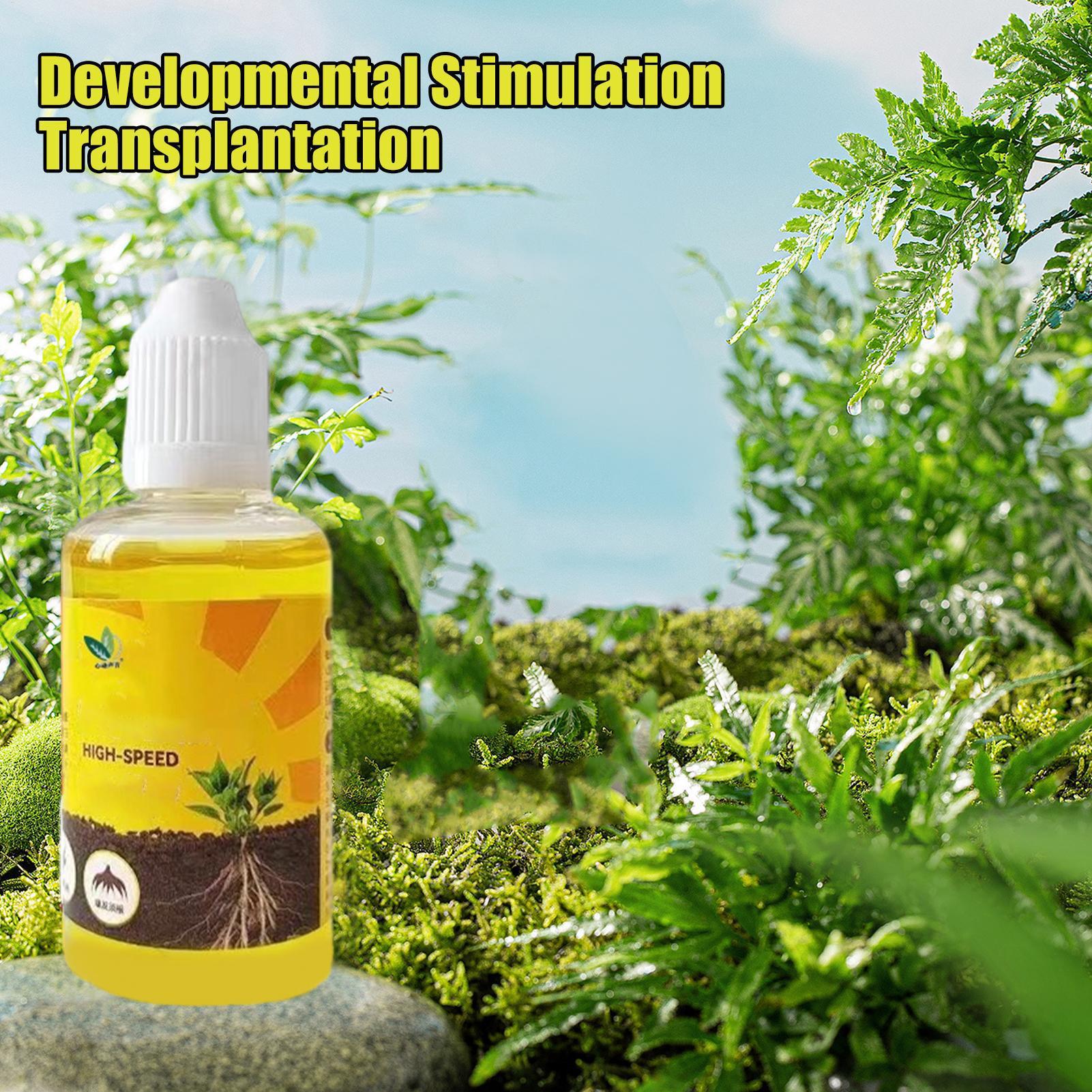 50ml Plant Rooting Stimulator  - đánh giá và giá Rooting Hormone Powder