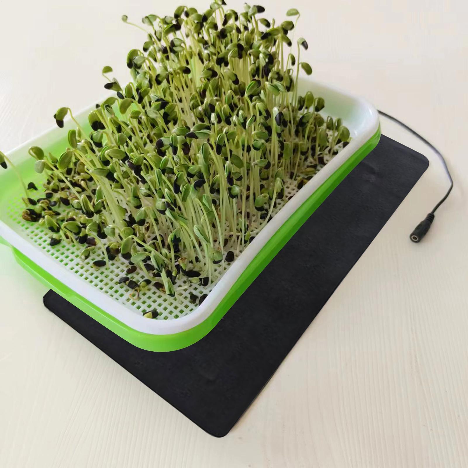 8.5W Seedling Heat Mat 5V 2A P - đánh giá và giá Heat Mat Seedling