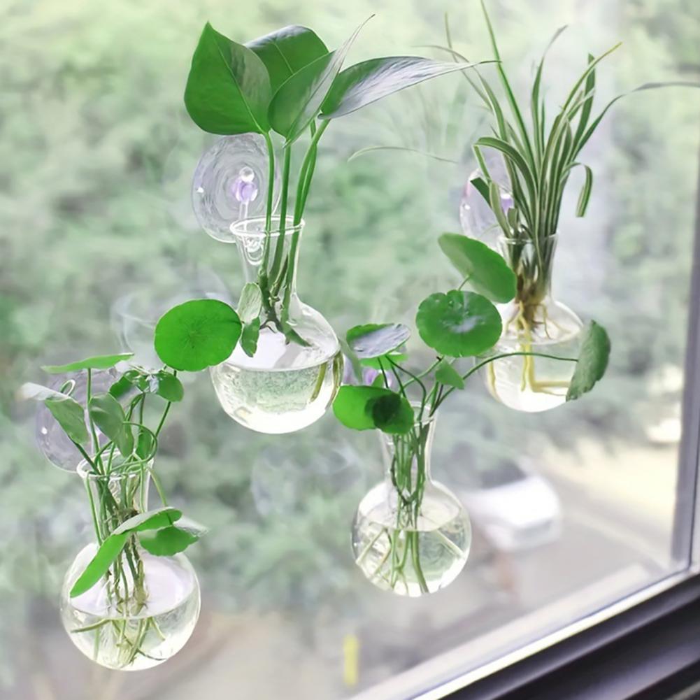 1/2/3/4/6/8Pcs Plant Propagati - đánh giá và giá Propagation Station Vase