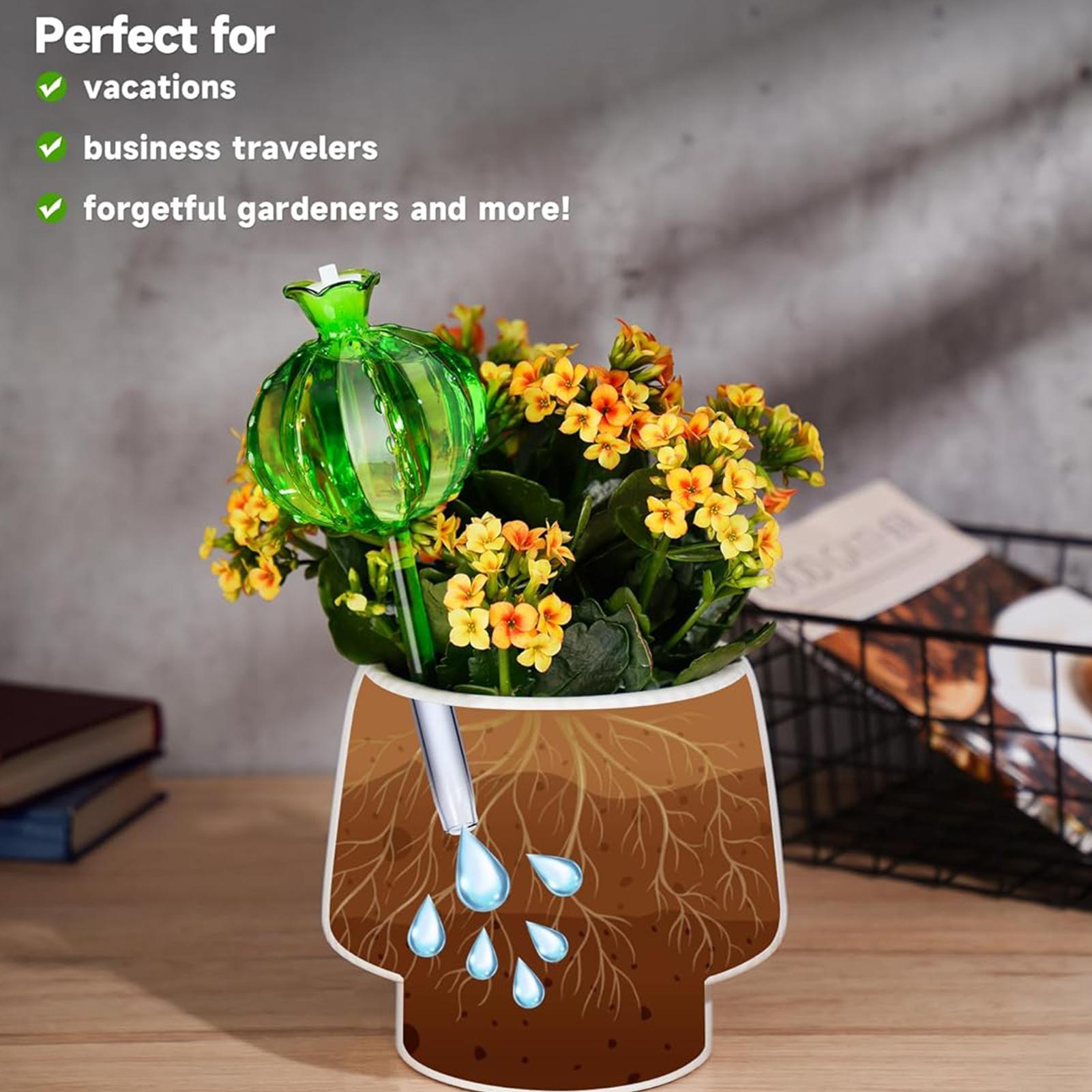 Plant Watering Stakes 3 Pieces - đánh giá và giá Self Watering Insert