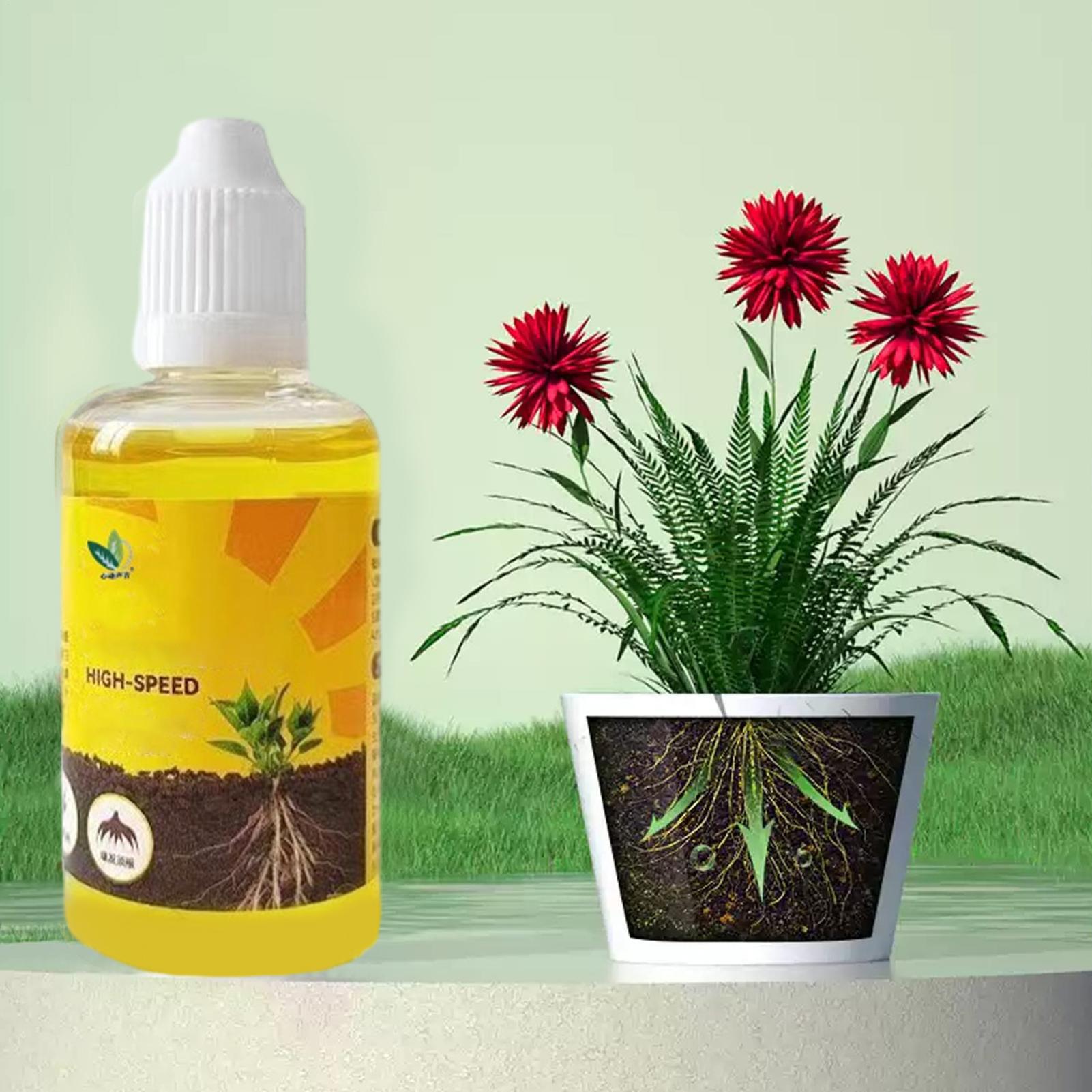 Plant Rapid Rooting Solution 5 - đánh giá và giá Root Stimulator Liquid