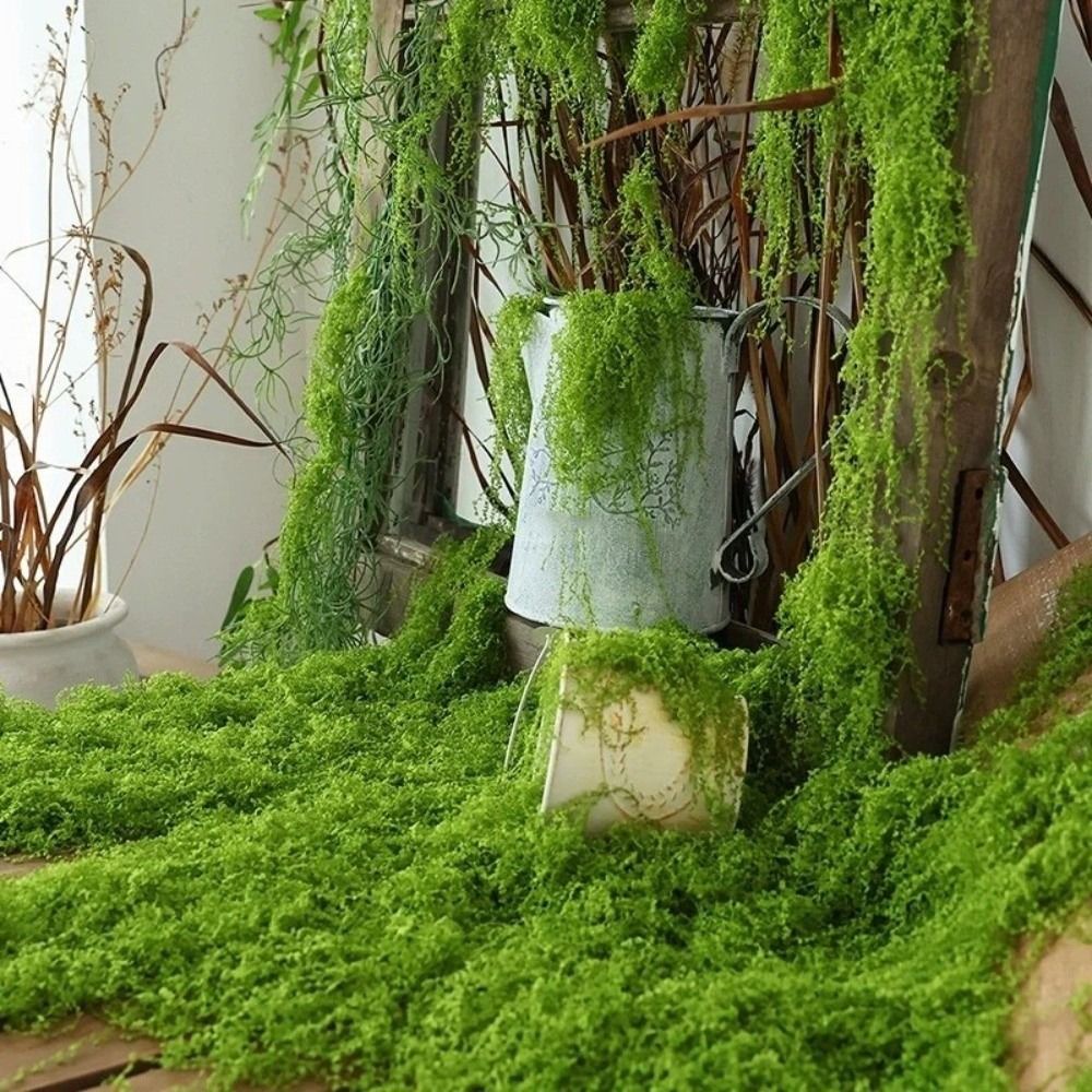 DIY Artificial Grass Rug Durab - đánh giá và giá Sphagnum Moss Dry
