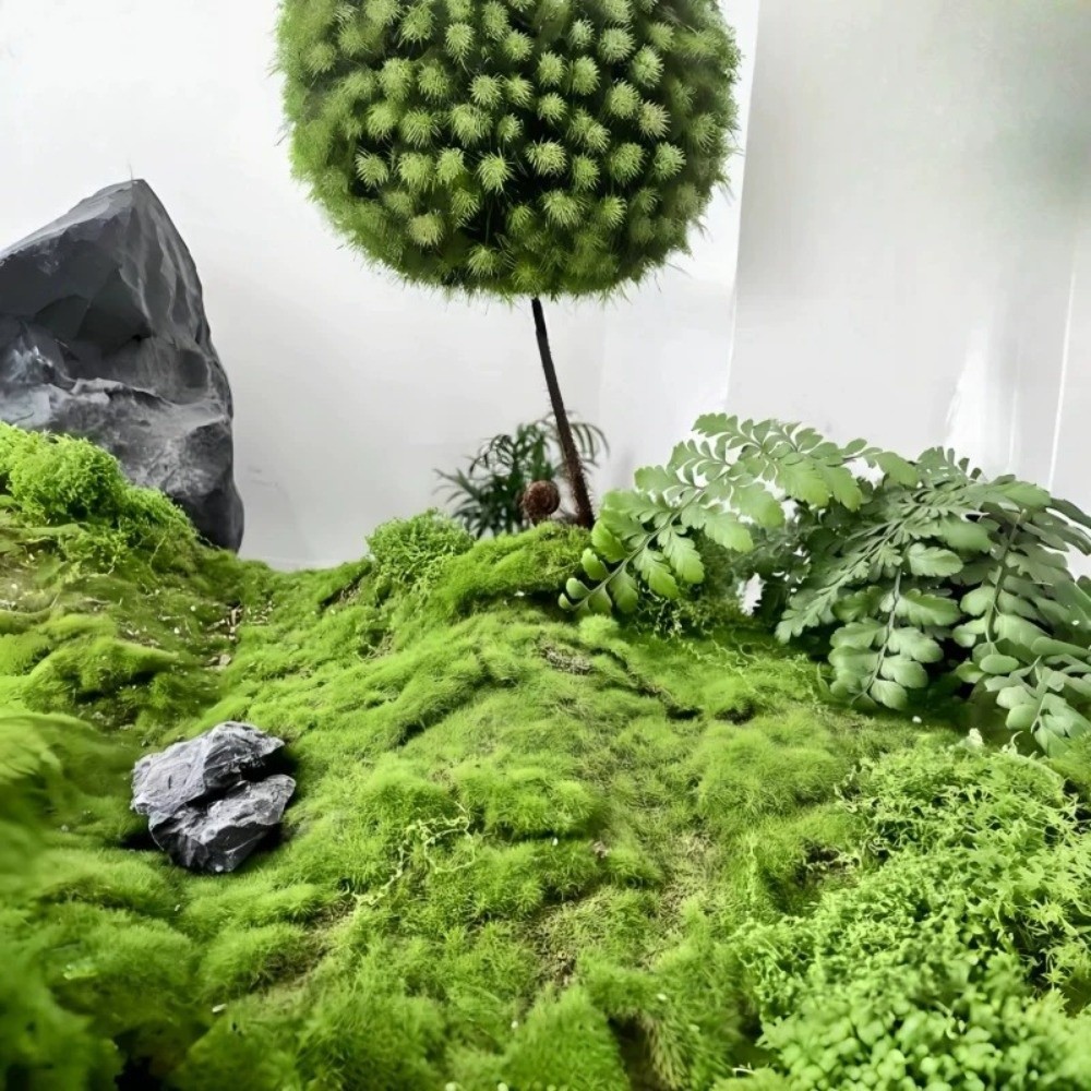 DIY Artificial Grass Rug Durab - đánh giá và giá Sphagnum Moss Dry