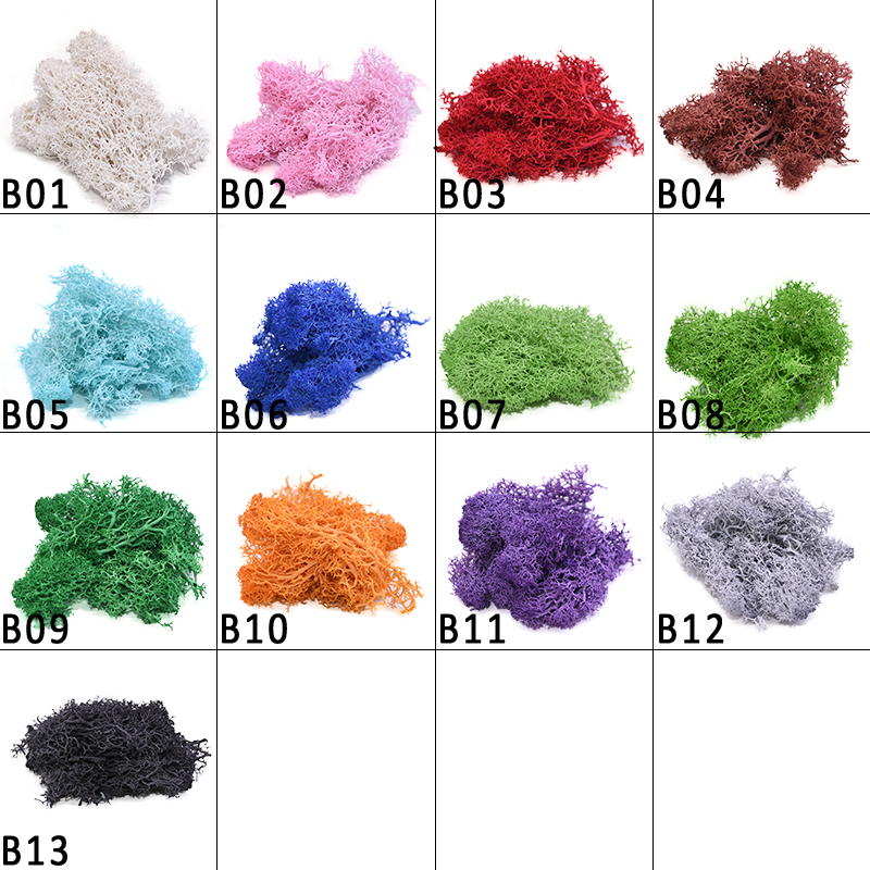 20-40G Nhân Tạo Tự Nhiên Vật C - đánh giá và giá Sphagnum Moss Dry